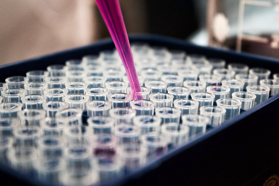 Could Kombucha Be the New Tea for Type 2 Diabetes? A Look at Emerging Research - Raw Culture